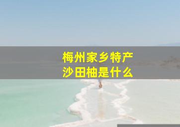 梅州家乡特产沙田柚是什么