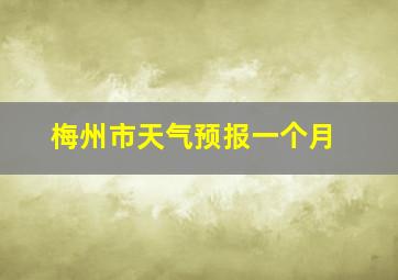 梅州市天气预报一个月