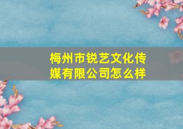 梅州市锐艺文化传媒有限公司怎么样