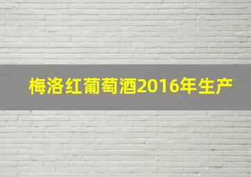 梅洛红葡萄酒2016年生产