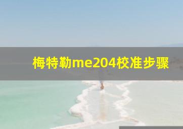 梅特勒me204校准步骤