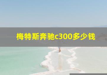 梅特斯奔驰c300多少钱