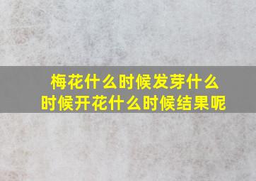 梅花什么时候发芽什么时候开花什么时候结果呢