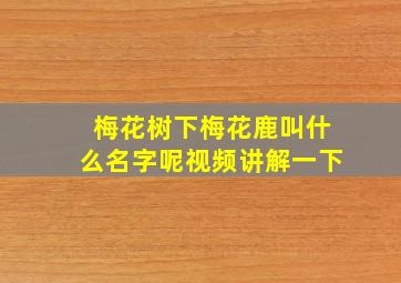 梅花树下梅花鹿叫什么名字呢视频讲解一下