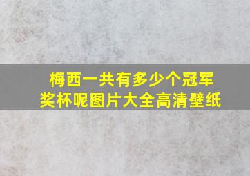 梅西一共有多少个冠军奖杯呢图片大全高清壁纸