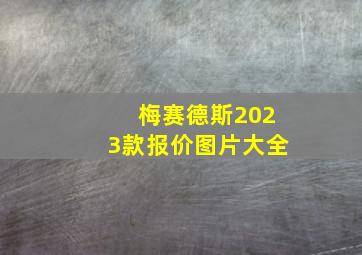 梅赛德斯2023款报价图片大全