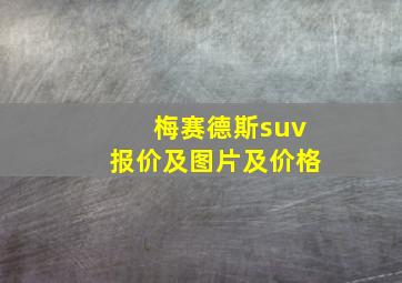 梅赛德斯suv报价及图片及价格