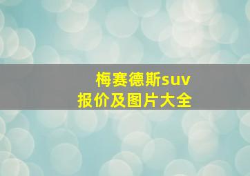 梅赛德斯suv报价及图片大全