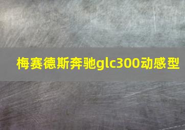 梅赛德斯奔驰glc300动感型