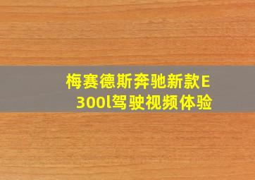 梅赛德斯奔驰新款E300l驾驶视频体验