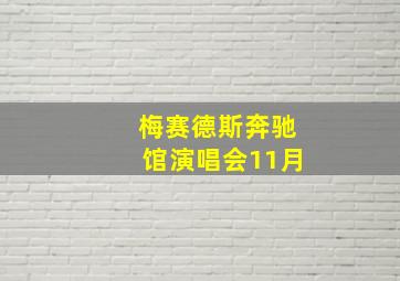 梅赛德斯奔驰馆演唱会11月