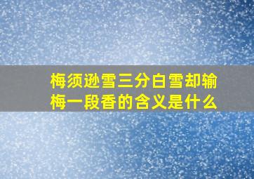 梅须逊雪三分白雪却输梅一段香的含义是什么