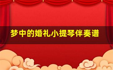 梦中的婚礼小提琴伴奏谱