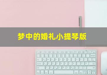 梦中的婚礼小提琴版