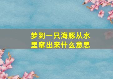 梦到一只海豚从水里窜出来什么意思