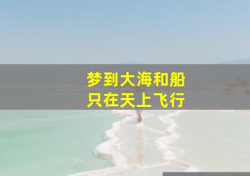 梦到大海和船只在天上飞行