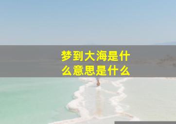 梦到大海是什么意思是什么