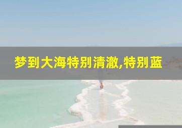 梦到大海特别清澈,特别蓝