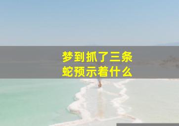 梦到抓了三条蛇预示着什么