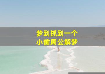 梦到抓到一个小偷周公解梦