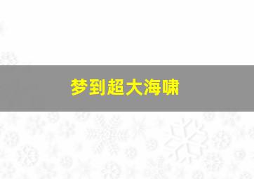 梦到超大海啸