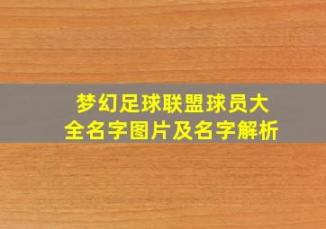 梦幻足球联盟球员大全名字图片及名字解析