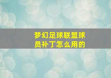 梦幻足球联盟球员补丁怎么用的