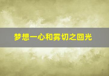 梦想一心和雾切之回光