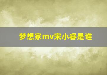 梦想家mv宋小睿是谁