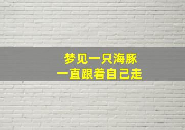 梦见一只海豚一直跟着自己走