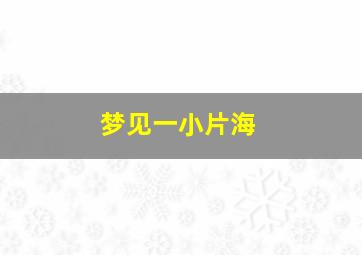 梦见一小片海