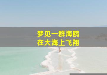 梦见一群海鸥在大海上飞翔