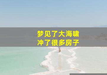 梦见了大海啸冲了很多房子