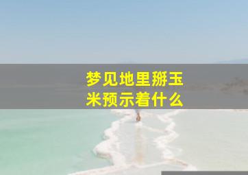 梦见地里掰玉米预示着什么