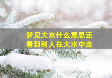 梦见大水什么意思还看到别人在大水中走