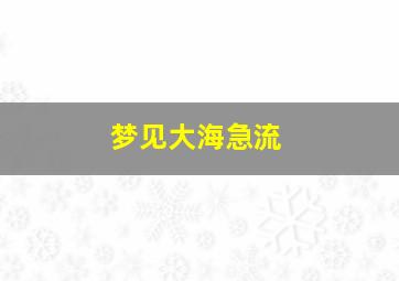 梦见大海急流