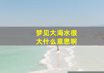 梦见大海水很大什么意思啊