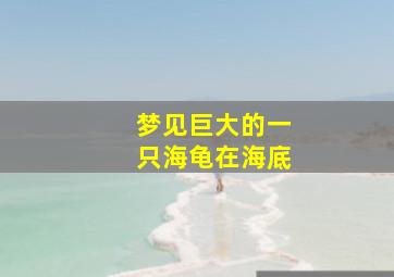 梦见巨大的一只海龟在海底