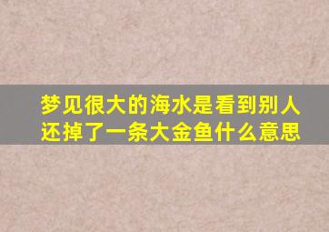 梦见很大的海水是看到别人还掉了一条大金鱼什么意思