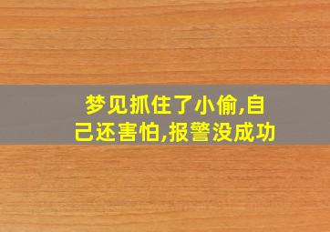 梦见抓住了小偷,自己还害怕,报警没成功