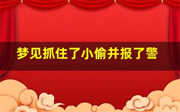 梦见抓住了小偷并报了警