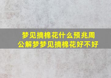 梦见摘棉花什么预兆周公解梦梦见摘棉花好不好