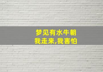 梦见有水牛朝我走来,我害怕