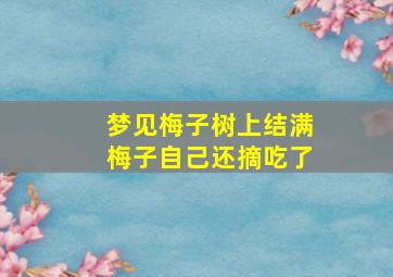 梦见梅子树上结满梅子自己还摘吃了