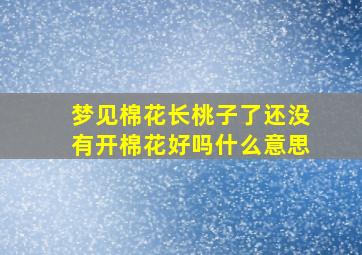 梦见棉花长桃子了还没有开棉花好吗什么意思