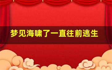 梦见海啸了一直往前逃生