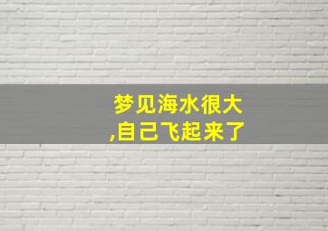 梦见海水很大,自己飞起来了