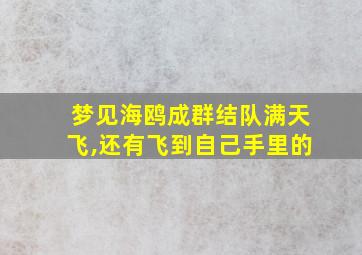 梦见海鸥成群结队满天飞,还有飞到自己手里的