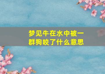 梦见牛在水中被一群狗咬了什么意思