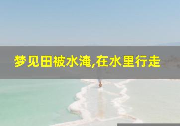 梦见田被水淹,在水里行走